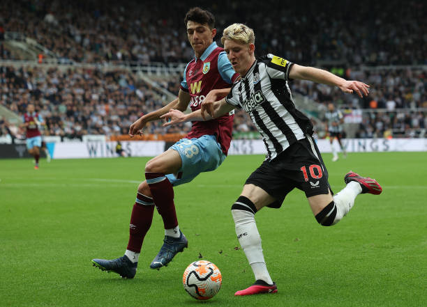 森的对比 森的对比