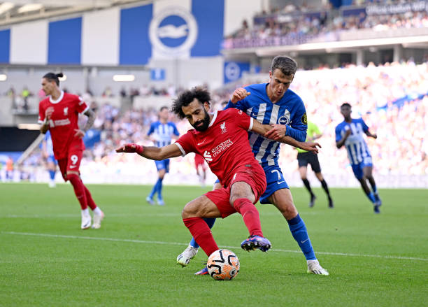 这些都说明 这些都说明