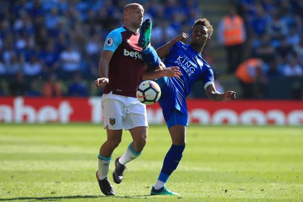 他们利用大 他们利用大